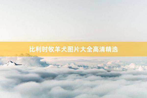 比利时牧羊犬图片大全高清精选