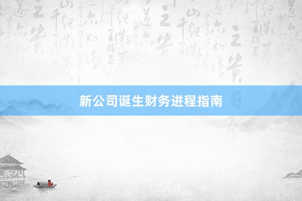 新公司诞生财务进程指南