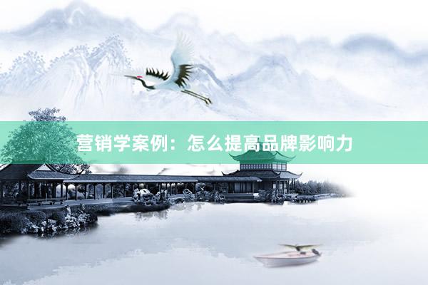 营销学案例：怎么提高品牌影响力